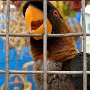 Meet your Posher, Suzanne